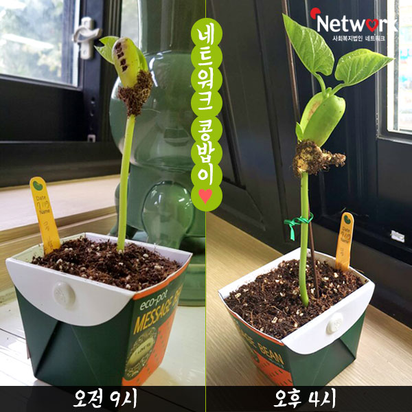 페이스북컨텐츠_강낭콩.jpg